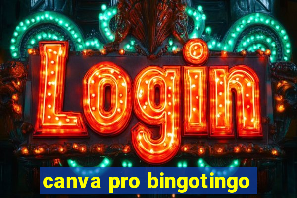 canva pro bingotingo